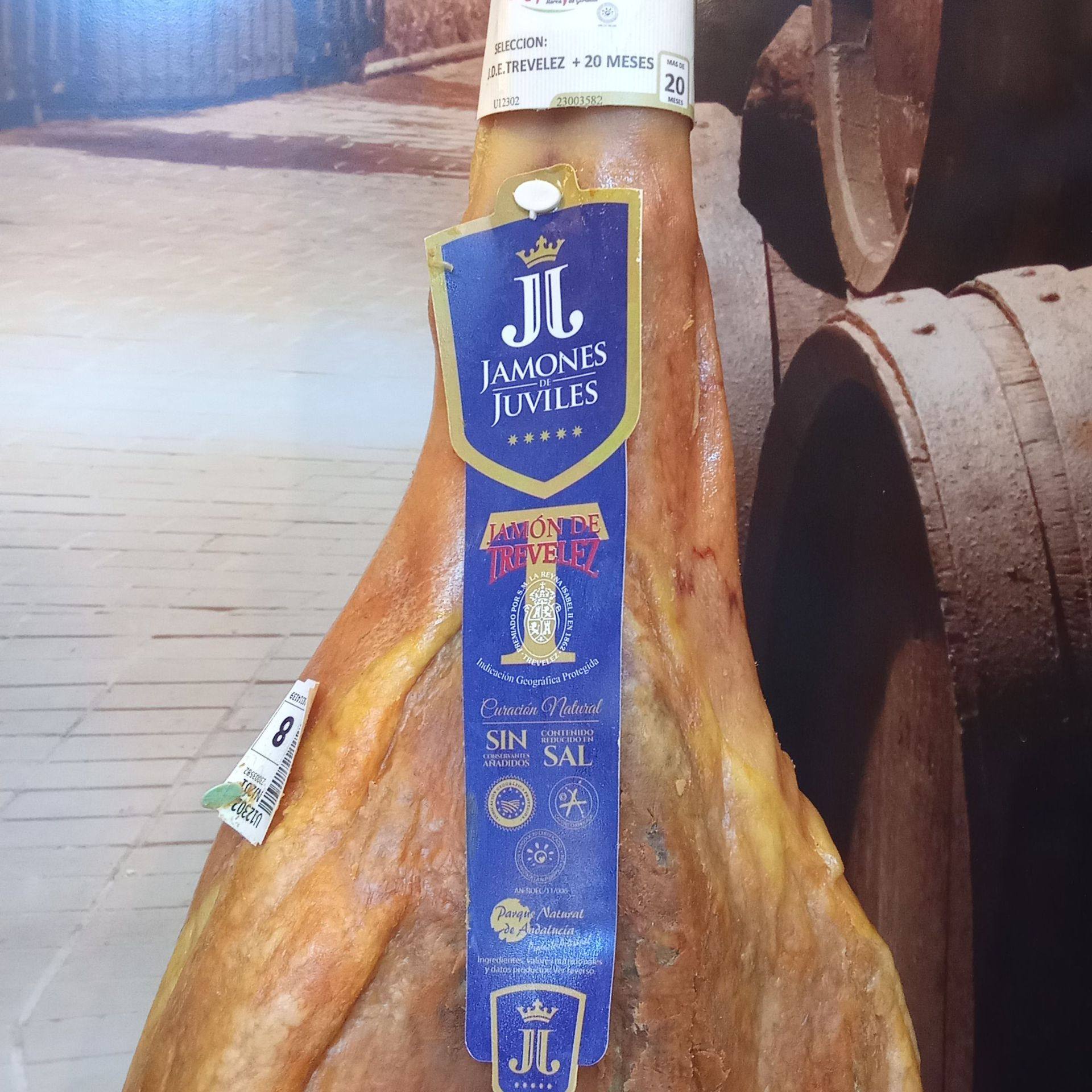 Diseño sin título 2025 10 28T100435.901